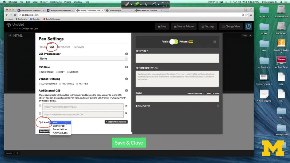 CodePen; add CSS.